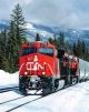 CN Bridge Playing Cards