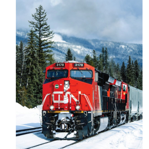 CN Bridge Playing Cards