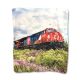 CN Locomotive Mink Throw
